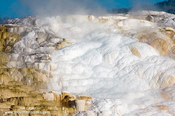 Image of Canary Spring, Mamoth Hot Springs, Yellowstone National Park.