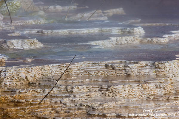 Image of Canary Spring and steam, Mamoth Hot Springs, Yellowstone National Park.