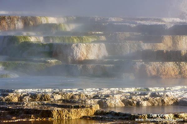 Image of Canary Spring and steam, Mamoth Hot Springs, Yellowstone National Park.