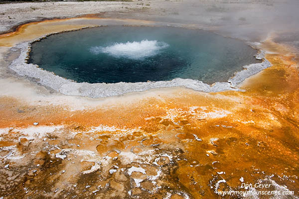 Image of Crested Pool, Yellowstone National Park.