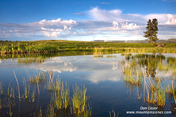 Image of Fountain Flat reflection, Yellowstone National Park.