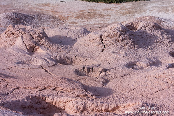 Image of Fountain Paint Pots, Yellowstone National Park.