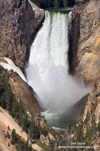 Image of Lower Falls, Grand Canyon of the Yellowstone, Yellowstone National Park.