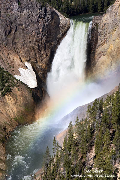 Image of Lower Falls and rainbow, Grand Canyon of the Yellowstone, Yellowstone National Park.