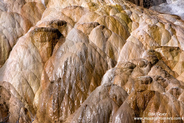 Image of Palette Spring, Mamoth Hot Springs, Yellowstone National Park.