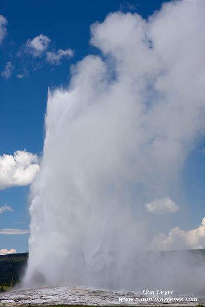 Image of Old Faithful erupting, Yellowstone National Park.