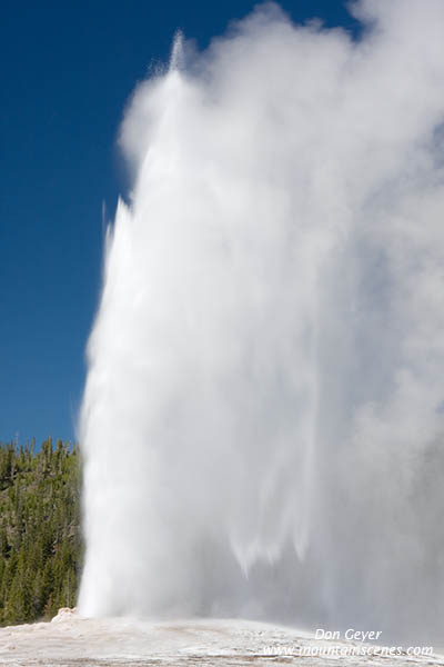 Image of Old Faithful erupting, Yellowstone National Park.