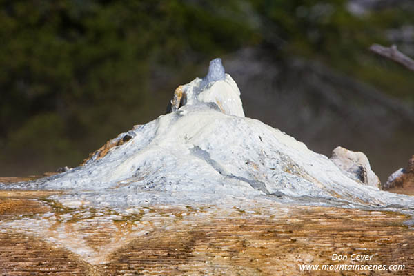 Image of Orange Spring Mound, Mamoth Hot Springs, Yellowstone National Park.