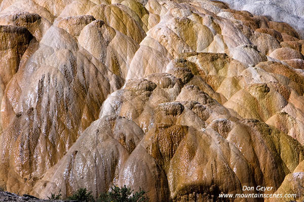 Image of Palette Spring, Mamoth Hot Springs, Yellowstone National Park.