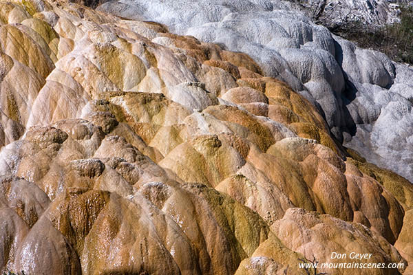 Image of Palette Spring, Mamoth Hot Spring, Yellowstone National Park.