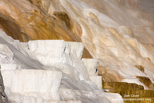 Image of Palette Spring, Mamoth Hot Springs, Yellowstone National Park.