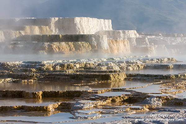 Image of Canary Spring and steam, Mamoth Hot Springs, Yellowstone National Park.