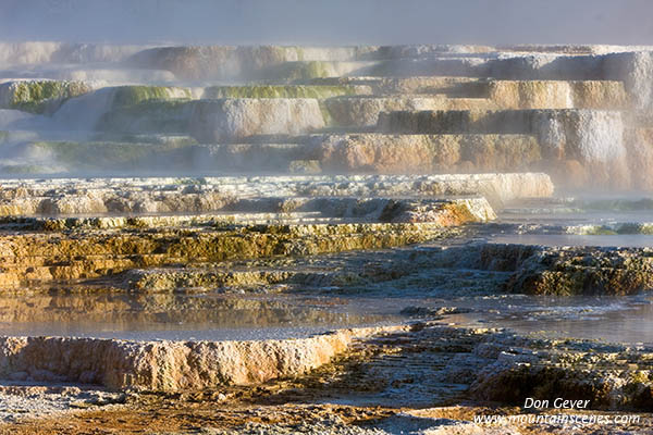 Image of Canary Spring and steam, Mamoth Hot Springs, Yellowstone National Park.