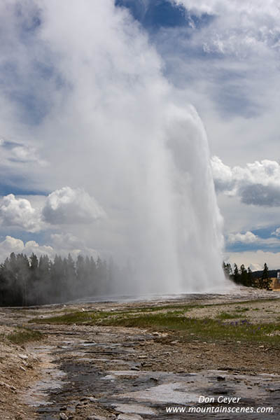 Image of Old Faithful erupting, Yellowstone National Park.