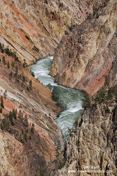 Image of Grand Canyon of the Yellowstone, Yellowstone National Park.