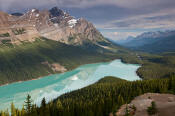 Image of Peyto Lake