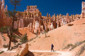 Image of Hiker on Queens Garden Trail, Bryce National Park, Utah