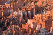 Image of hoodoos in Bryce at Sunrise, Bryce National Park, Utah, southwest