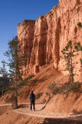 Image of Hiker on Queens Garden Trail, Bryce National Park, Utah, southwest