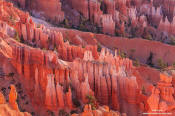 Image of Bryce Canyon, sunrise