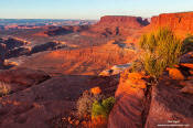 Image of Monument Basin, Canyonlands NP