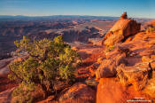 Image of Monument Basin, Canyonlands NP