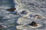 Image of surf at Ecola State Park, Oregon Coast