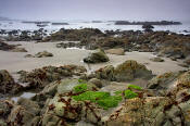 Image of Strawberry Point, Olympic National Park