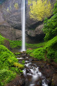 Image of Latourell Falls, Columbia River Gorge