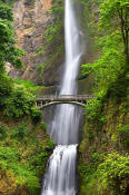 Image of Multnomah Falls and bridge, Columiba River Gorge