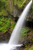 Image of Ponytail Falls, Columbia River Gorge