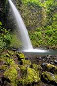 Image of Ponytail Falls, Columbia River Gorge