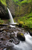 Image of Ponytail Falls, Columbia River Gorge