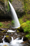 Image of Ponytail Falls, Colubmbia River Gorge