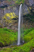 Image of Elowah Falls, Columbia River Gorge