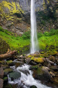 Image of Elowah Falls, Columbia River Gorge