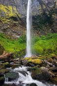 Image of Elowah Falls, Columbia River Gorge