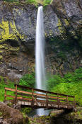 Image of Elowah Falls above Bridge, Columbia River Gorge