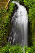 Image of McCloud Falls, Columbia River Gorge