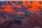 Image of gooseneck, Dead Horse State Park