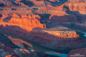 Image of gooseneck, Dead Horse State Park