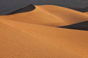 Image of Mesquite Sand Dunes, morning, Death Valley