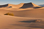 Image of Mesquite Sand Dunes, Death Valley