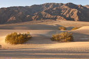 Image of Mesquite Sand Dunes, Tucki Mountain, Death Valley