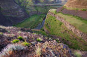 Image of Palouse River Canyon near Palouse Falls