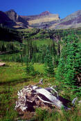 Image of Mt. Custer above Hole in the Wall in Glacier.