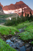 Image of Cathedral Mountain above Sue Lake in Glacier.