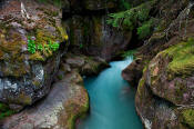 Image of Avalanche Gorge in Glacier National Park.