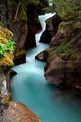 Image of Avalanche Gorge in Glacier National Park.