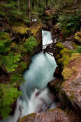 Image of Avalanche Gorge in Glacier National Park.